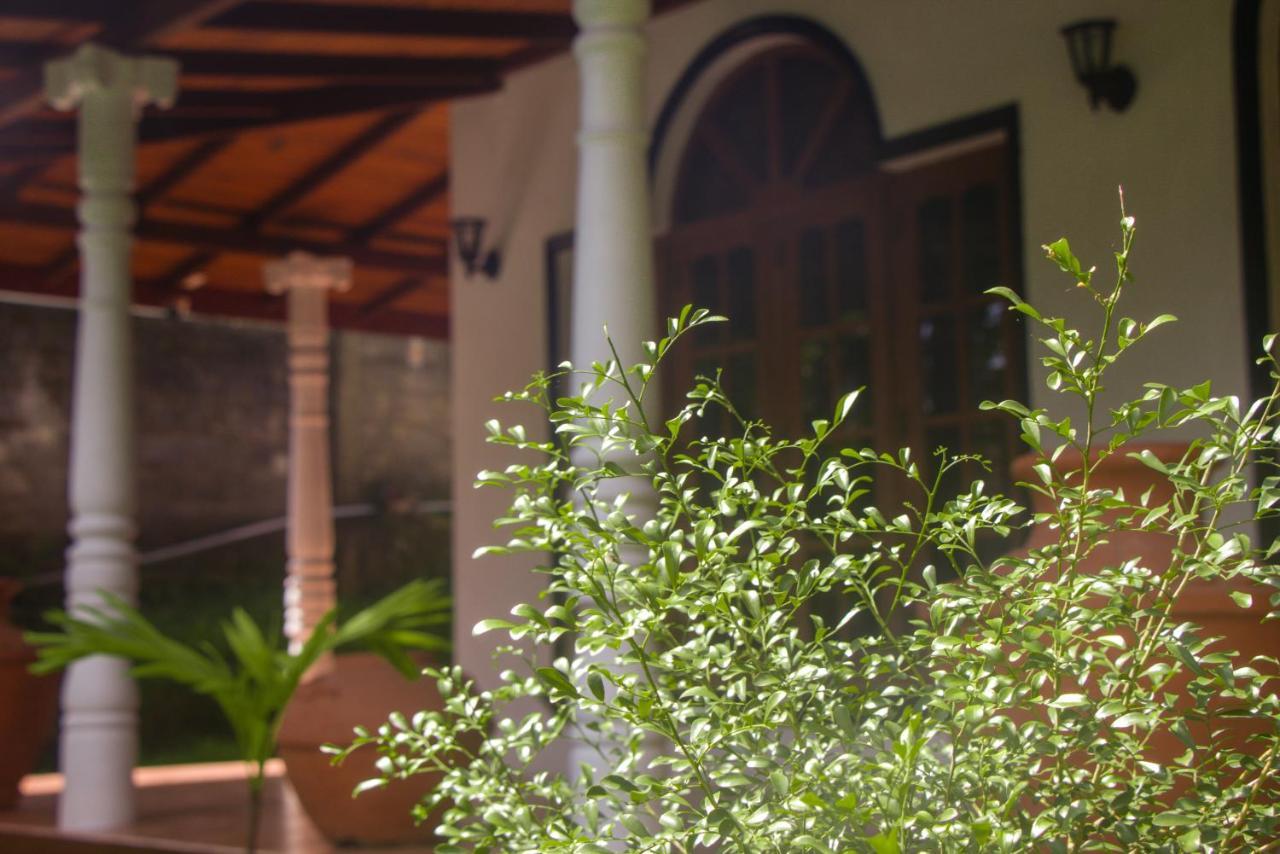 Jungle View Guesthouse Unawatuna Esterno foto
